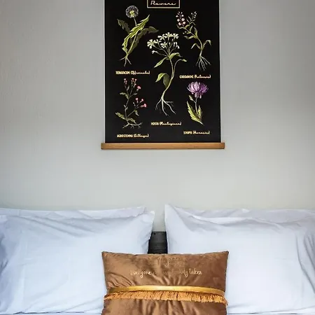 Dream House Skopelos