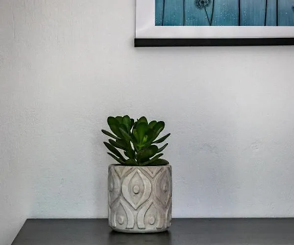 Dream House * Szkópelosz