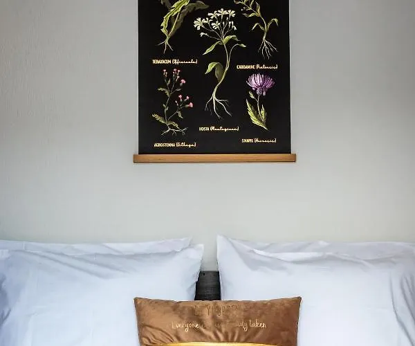 Dream House Szkópelosz